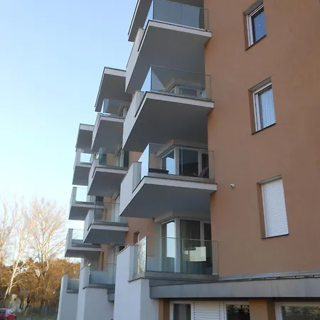 Solar Vizparti